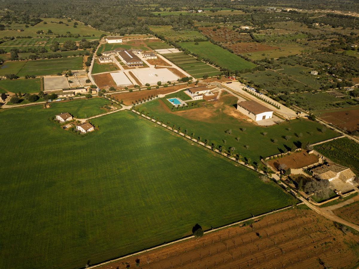 Vila Vmg Horse Ranch (Adults Only) Llucmajor  Exteriér fotografie