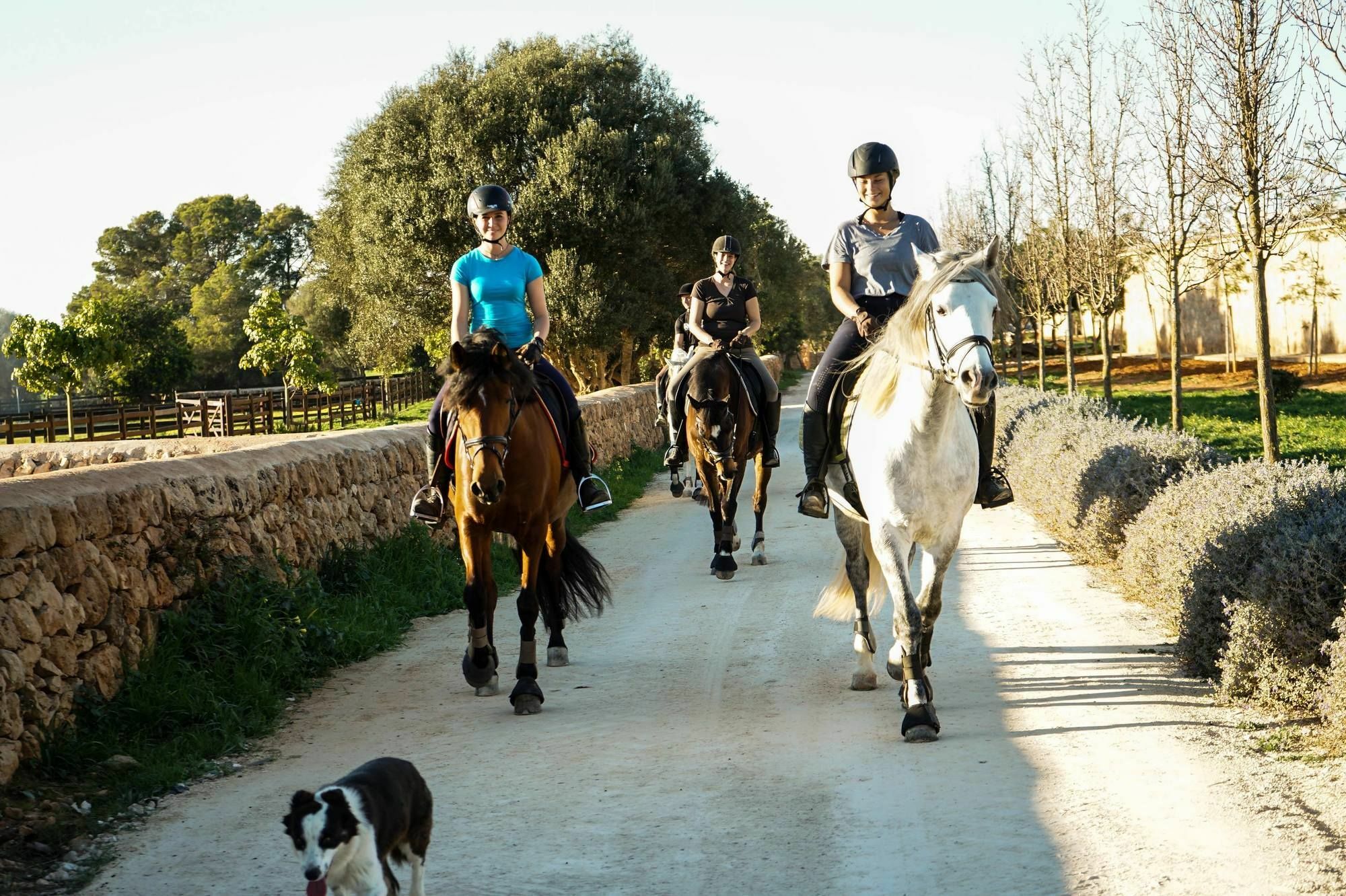 Vila Vmg Horse Ranch (Adults Only) Llucmajor  Exteriér fotografie