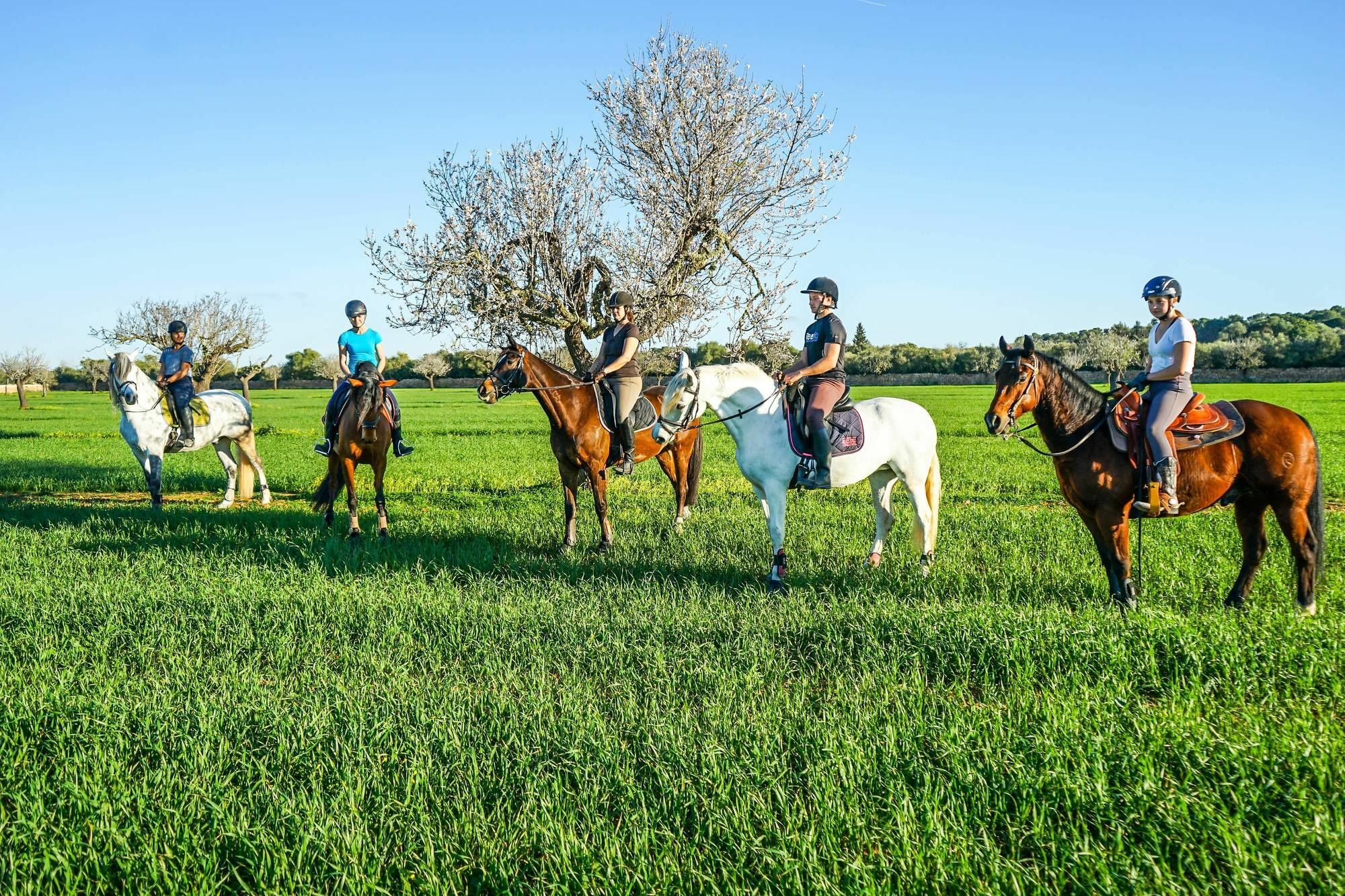 Vila Vmg Horse Ranch (Adults Only) Llucmajor  Exteriér fotografie