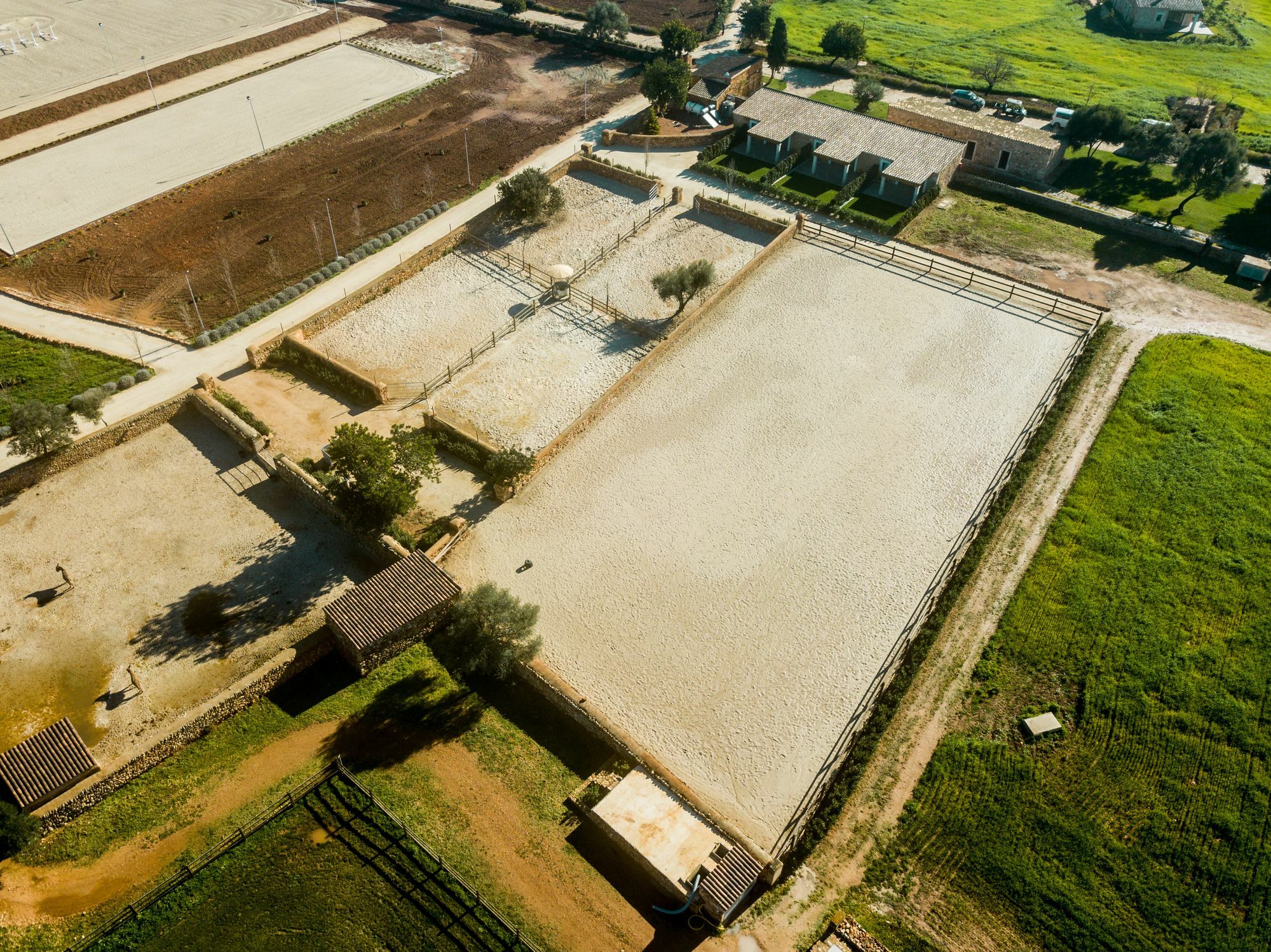 Vila Vmg Horse Ranch (Adults Only) Llucmajor  Exteriér fotografie